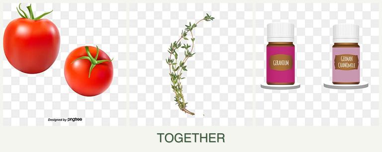 Can you plant tomatoes, thyme and geraniums together?