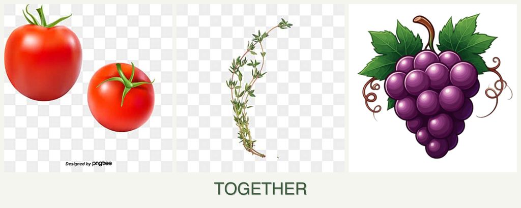 Can you plant tomatoes, thyme and grapes together?