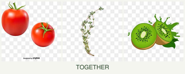 Can you plant tomatoes, thyme and kiwi together?