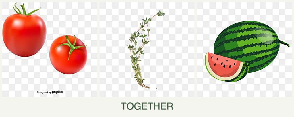 Can you plant tomatoes, thyme and melons together?