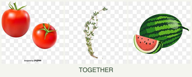Can you plant tomatoes, thyme and melons together?