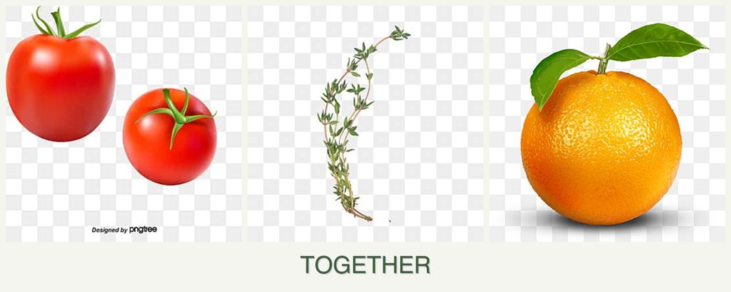 Can you plant tomatoes, thyme and oranges together?