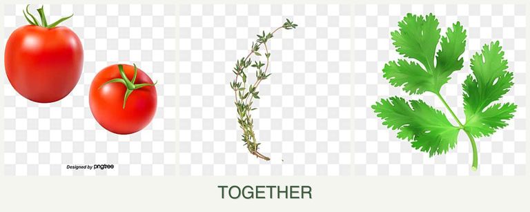 Can you plant tomatoes, thyme and parsley together?