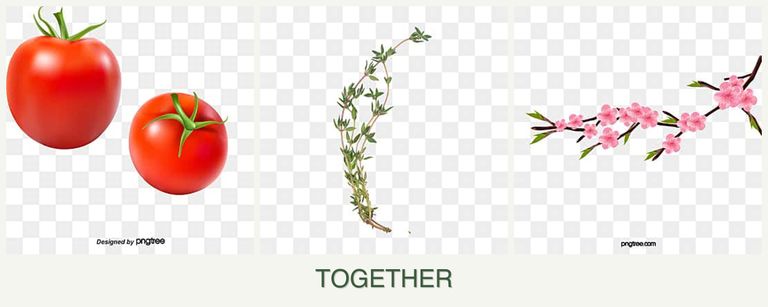 Can you plant tomatoes, thyme and peaches together?