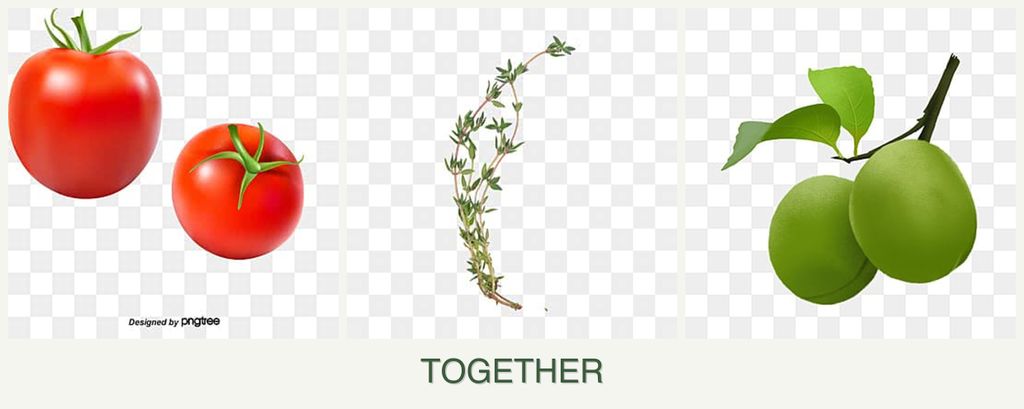 Can you plant tomatoes, thyme and plums together?
