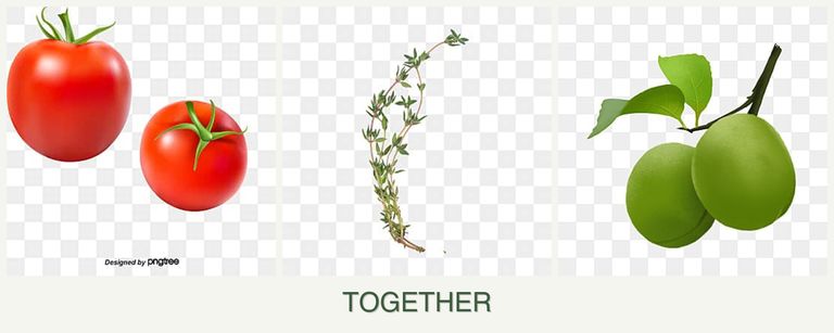 Can you plant tomatoes, thyme and plums together?