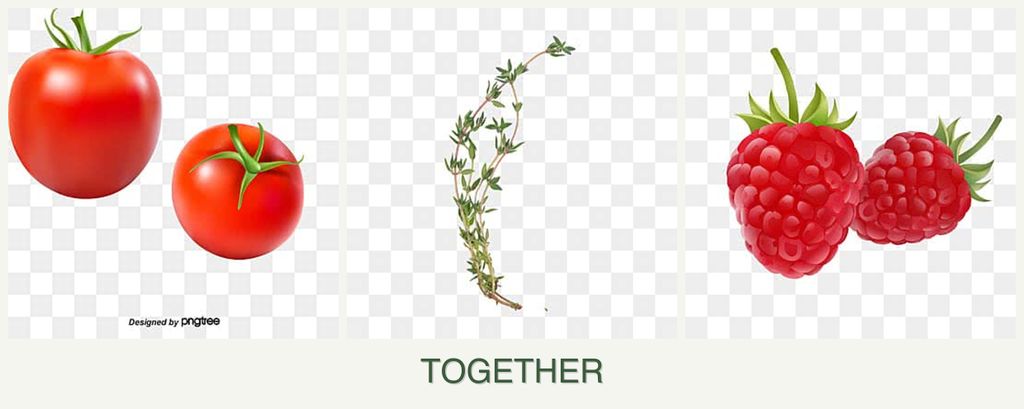 Can you plant tomatoes, thyme and raspberries together?