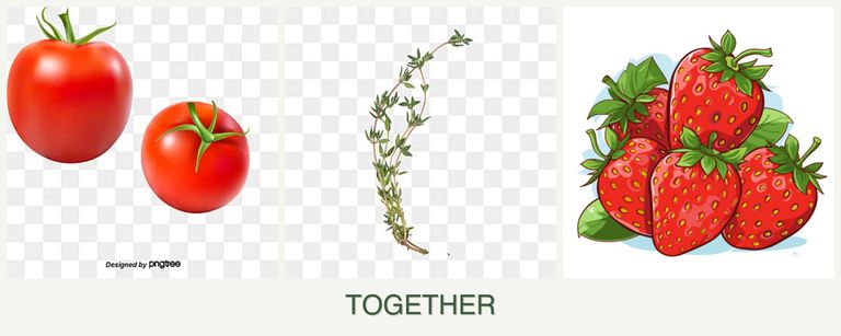 Can you plant tomatoes, thyme and strawberries together?