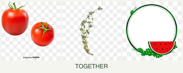 Can you plant tomatoes, thyme and watermelons together?