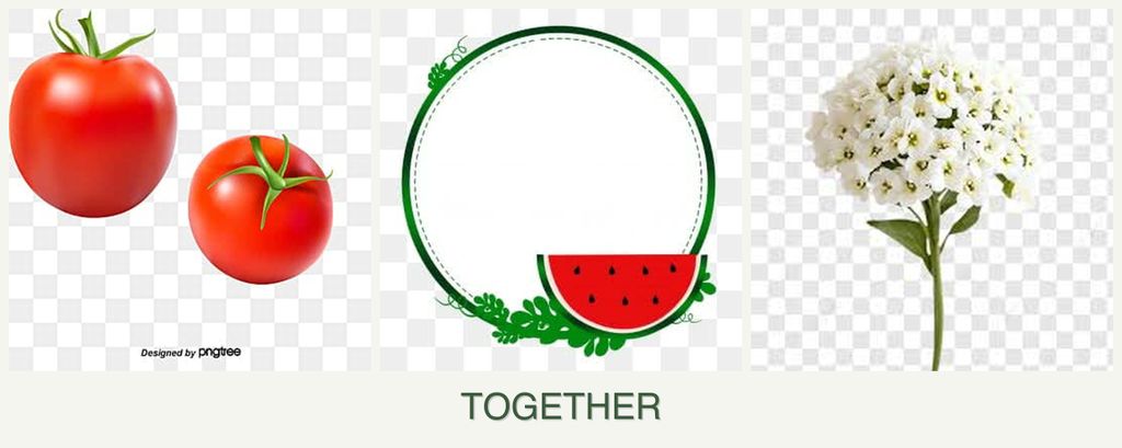 Can you plant tomatoes, watermelons and alyssum together?