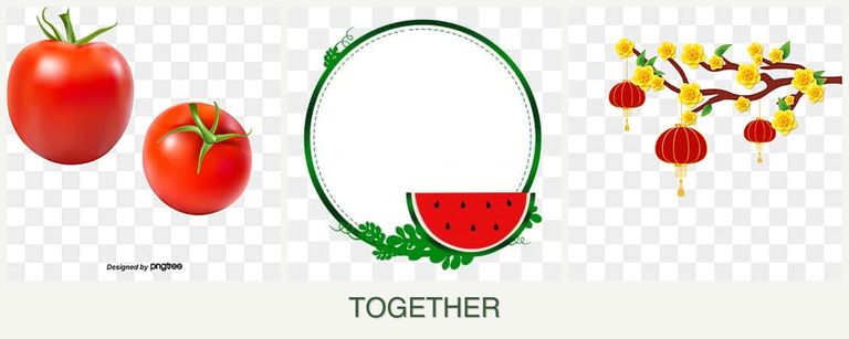 Can you plant tomatoes, watermelons and apricots together?