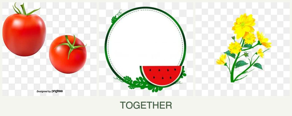 Can you plant tomatoes, watermelons and calendula together?