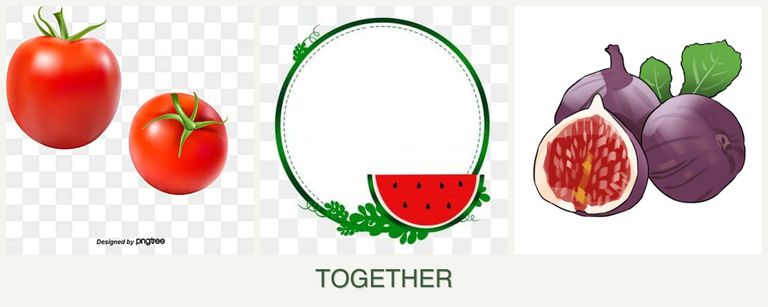 Can you plant tomatoes, watermelons and figs together?