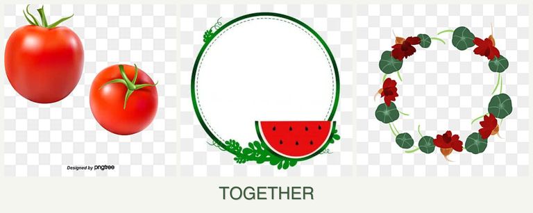 Can you plant tomatoes, watermelons and nasturtiums together?