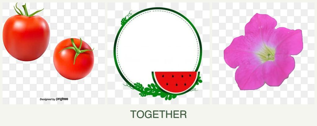 Can you plant tomatoes, watermelons and petunias together?