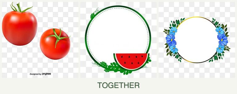 Can you plant tomatoes, watermelons and zinnias together?
