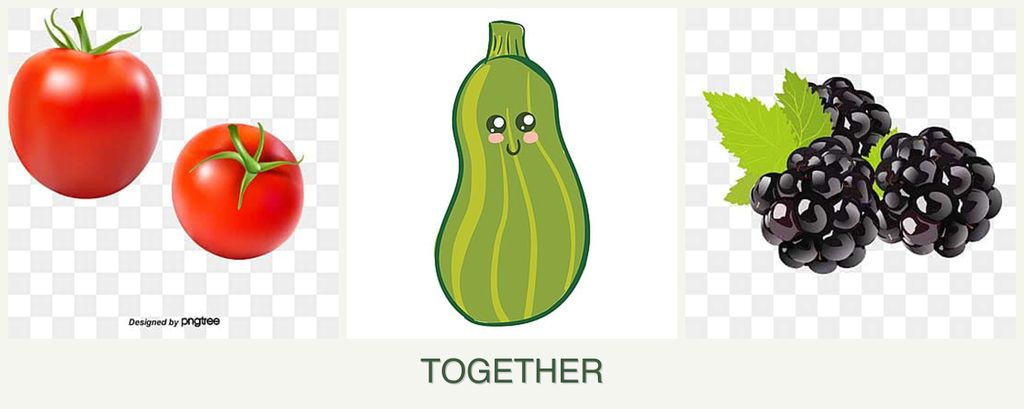Can you plant tomatoes, zucchini and blackberries together?