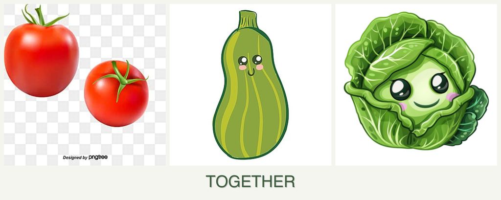 Can you plant tomatoes, zucchini and cabbage together?