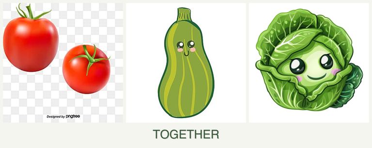 Can you plant tomatoes, zucchini and cabbage together?