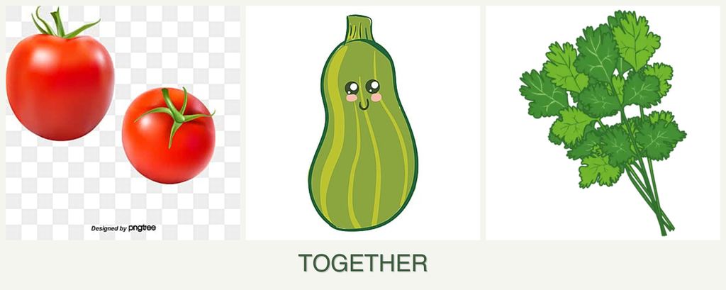 Can you plant tomatoes, zucchini and cilantro together?