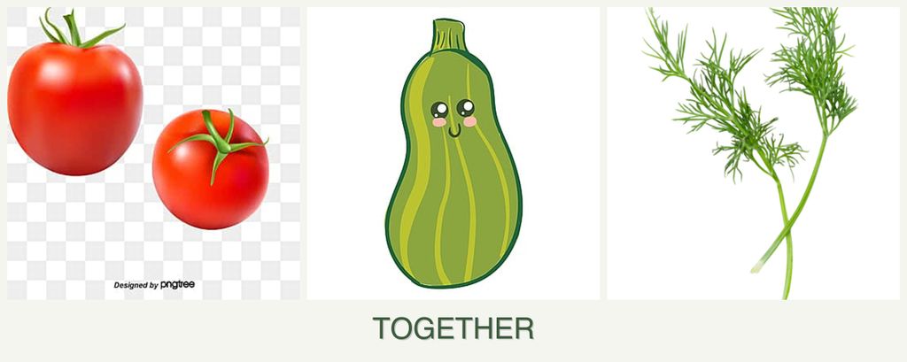 Can you plant tomatoes, zucchini and dill together?