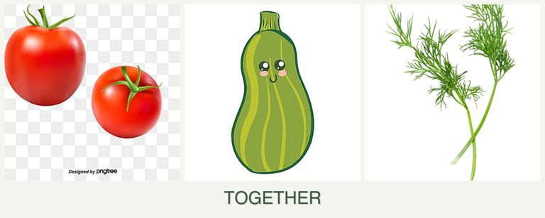 Can you plant tomatoes, zucchini and dill together?