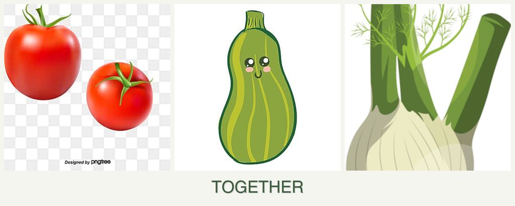 Can you plant tomatoes, zucchini and fennel together?