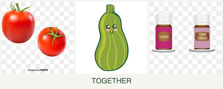 Can you plant tomatoes, zucchini and geraniums together?