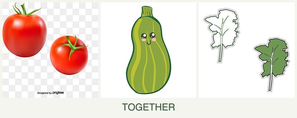 Can you plant tomatoes, zucchini and kale together?