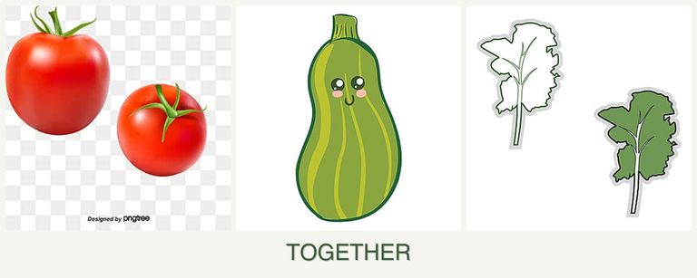 Can you plant tomatoes, zucchini and kale together?