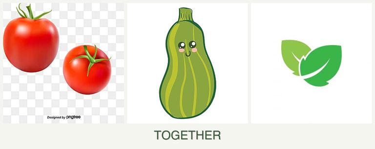 Can you plant tomatoes, zucchini and mint together?