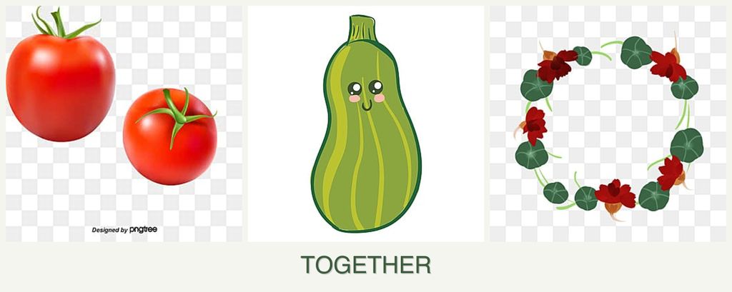 Can you plant tomatoes, zucchini and nasturtiums together?