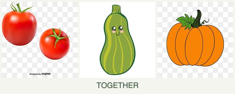 Can you plant tomatoes, zucchini and pumpkin together?