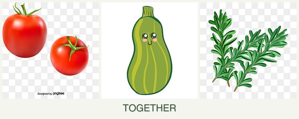 Can you plant tomatoes, zucchini and rosemary together?