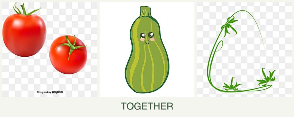 Can you plant tomatoes, zucchini and tarragon together?