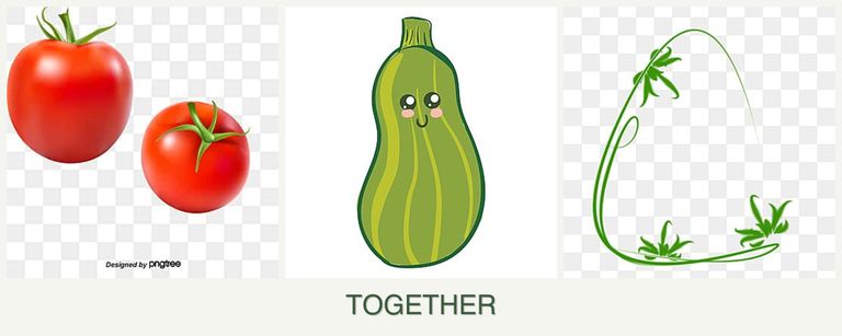 Can you plant tomatoes, zucchini and tarragon together?