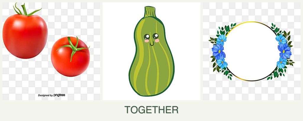 Can you plant tomatoes, zucchini and zinnias together?