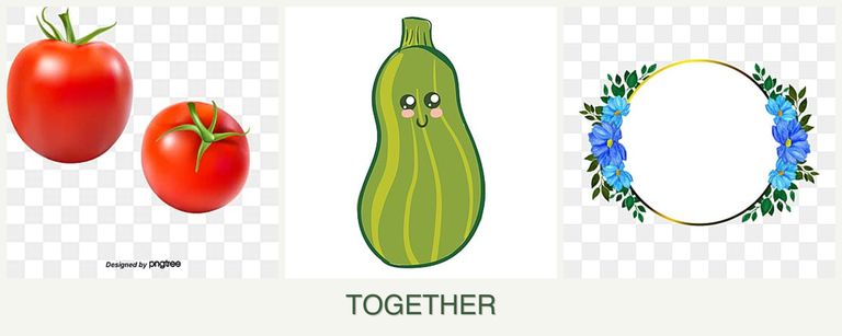 Can you plant tomatoes, zucchini and zinnias together?