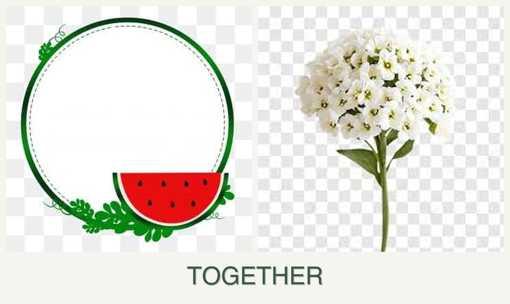 Can you plant watermelons and alyssum together?