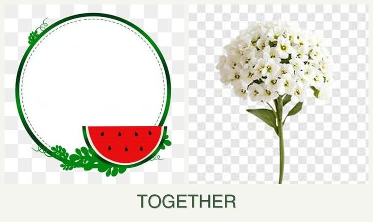 Can you plant watermelons and alyssum together?