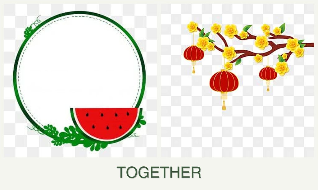Can you plant watermelons and apricots together?