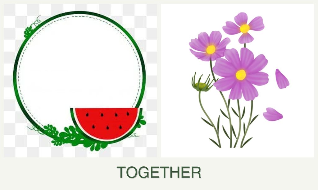 Can you plant watermelons and cosmos together?