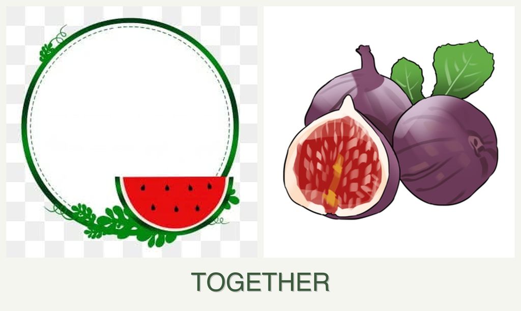 Can you plant watermelons and figs together?