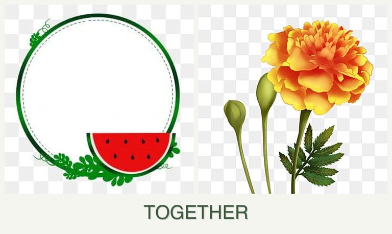 Can you plant watermelons and marigolds together?