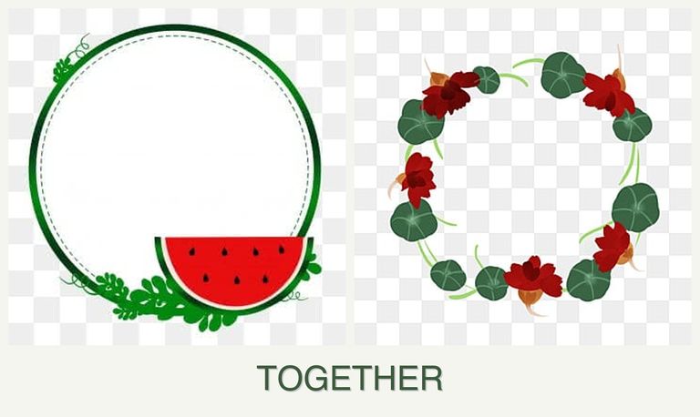 Can you plant watermelons and nasturtiums together?