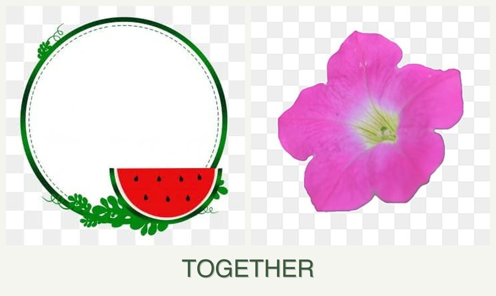Can you plant watermelons and petunias together?