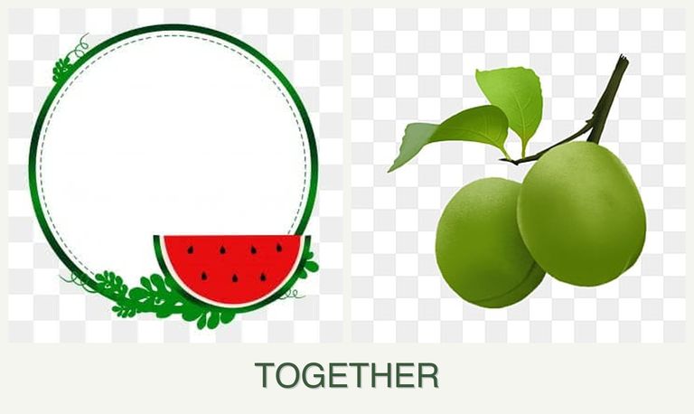 Can you plant watermelons and plums together?