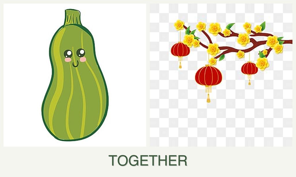 Can you plant zucchini and apricots together?