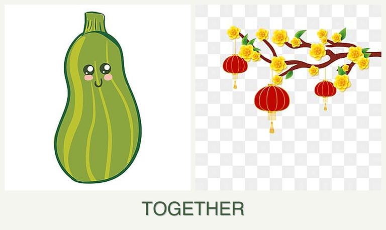 Can you plant zucchini and apricots together?