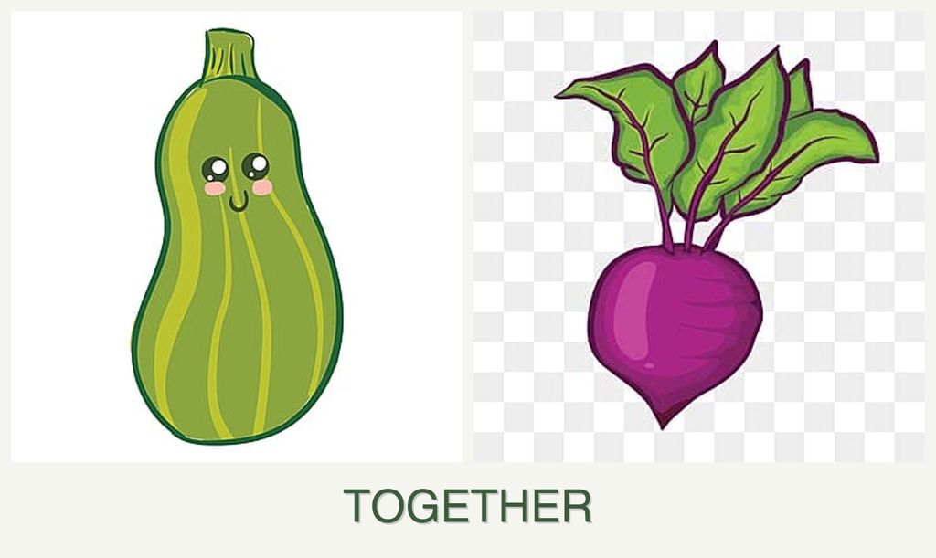 Can you plant zucchini and beets together?